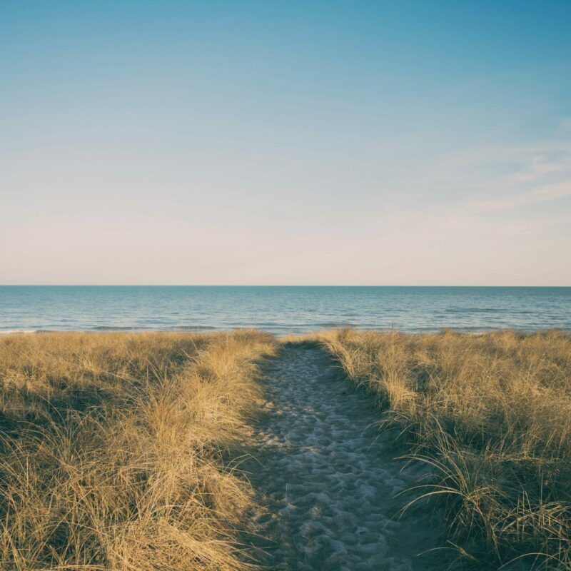 Chemin de sable entre les herbes des dunes, face à l'océan